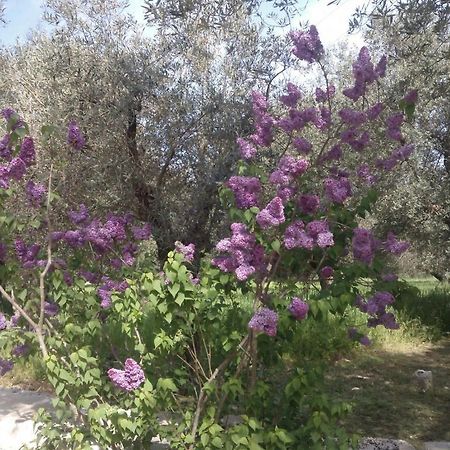 Masseria Costanza Putignano Kültér fotó