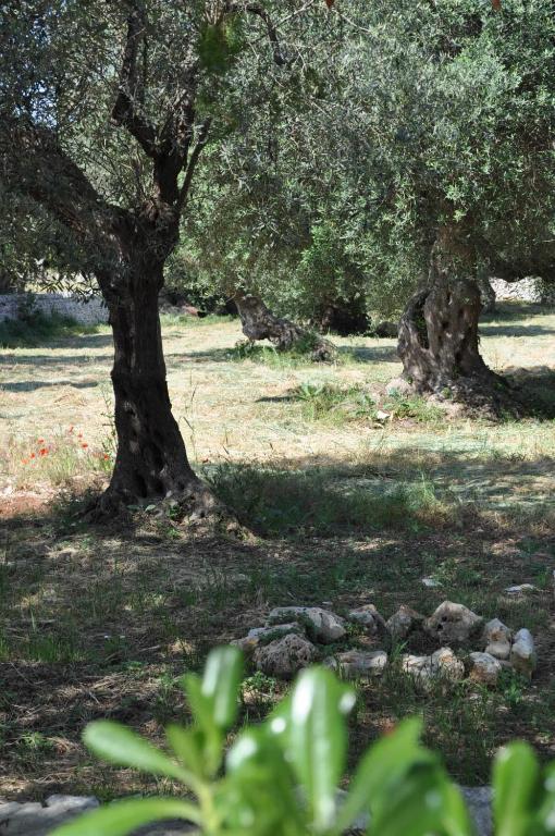 Masseria Costanza Putignano Kültér fotó